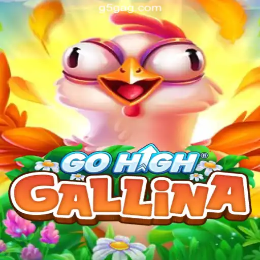 GoHighGallina: Exploring the Excitement of 2026's Premier Online Casino Game
